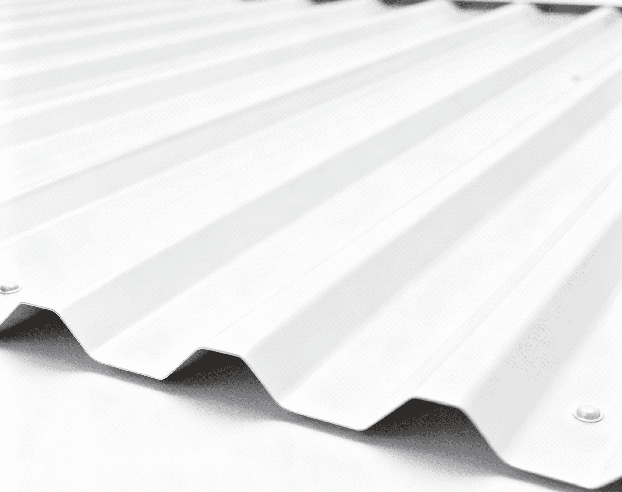 Сигнальный белый